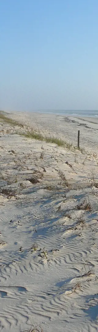 Dünenstrand auf St. George Island
